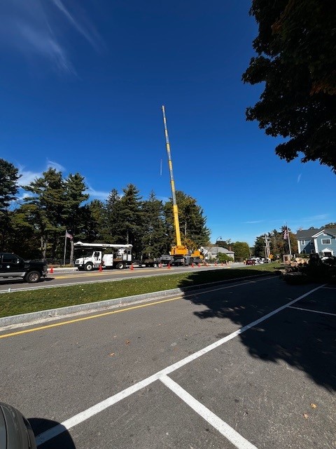 Stumpy's Tree Service | Ashland MA