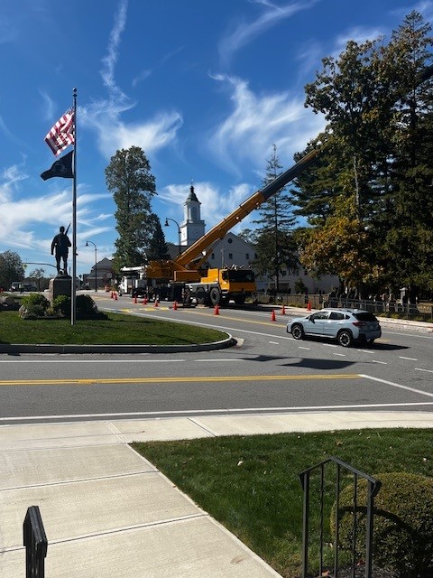 Stumpy's Tree Service | Ashland MA