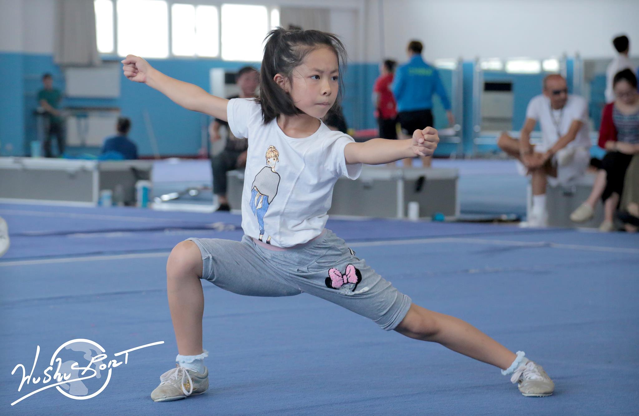Wushu Sport