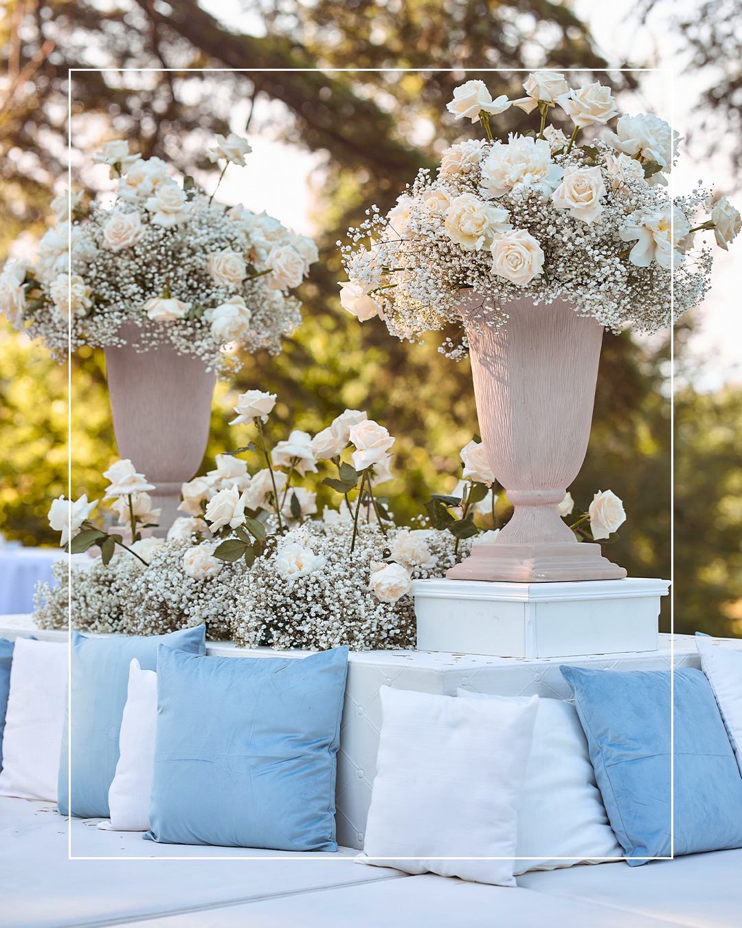 The White Rose | Milan