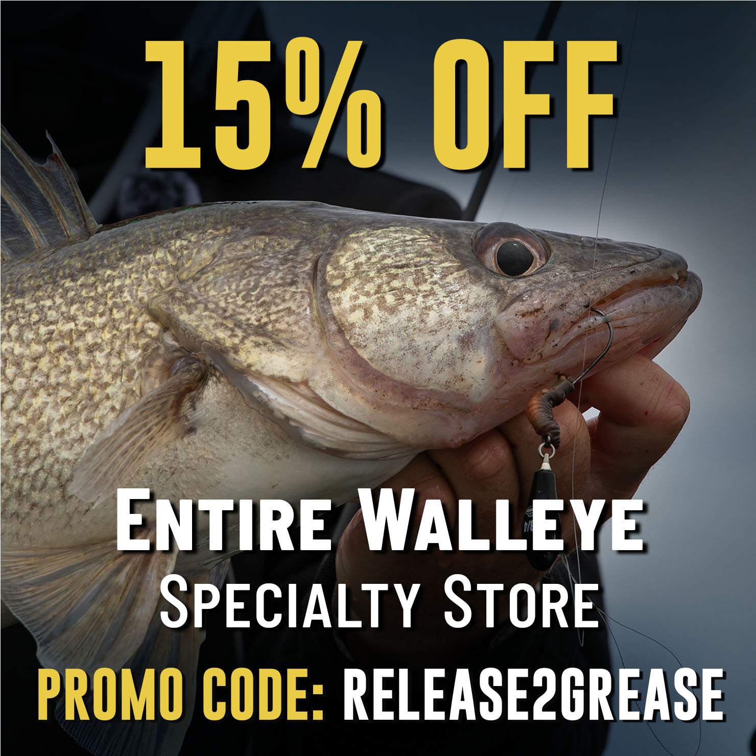 acme fishing lures promo code Tackle Stub-Z - 1.25" retrieve it Acme Little Cleo 3/4 oz
