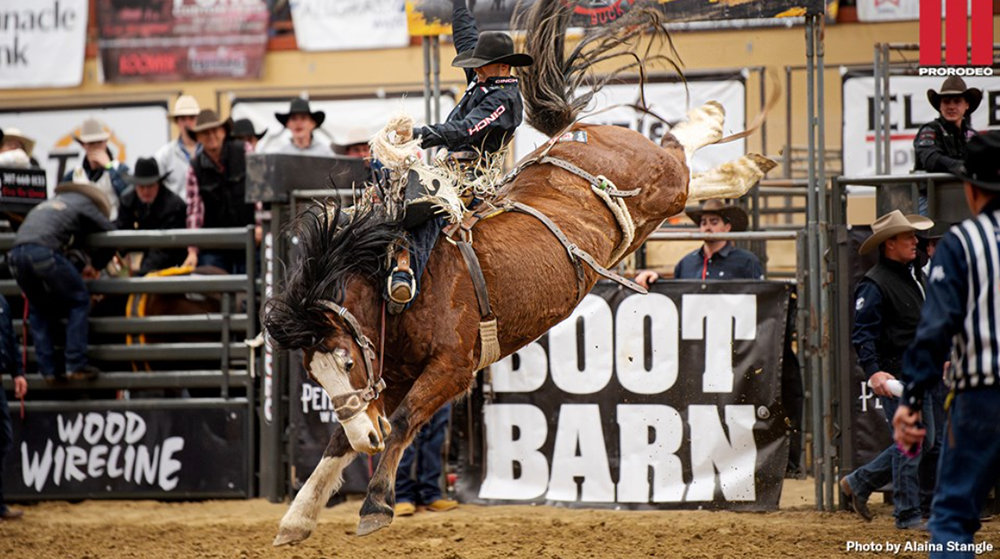 TwisTed Rodeo