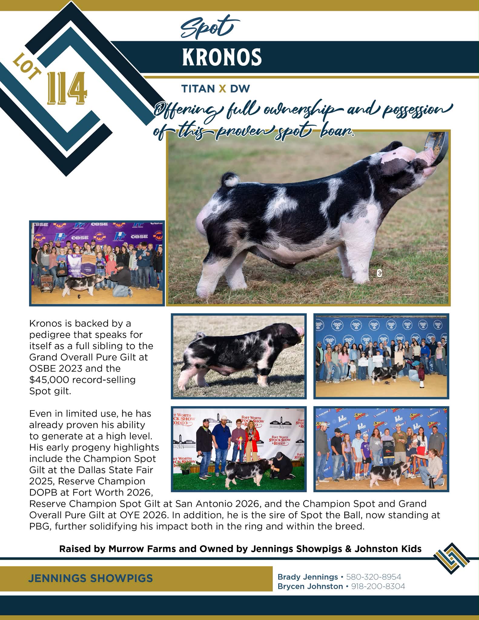 Kronos Titan boar for sale with champion pedigree