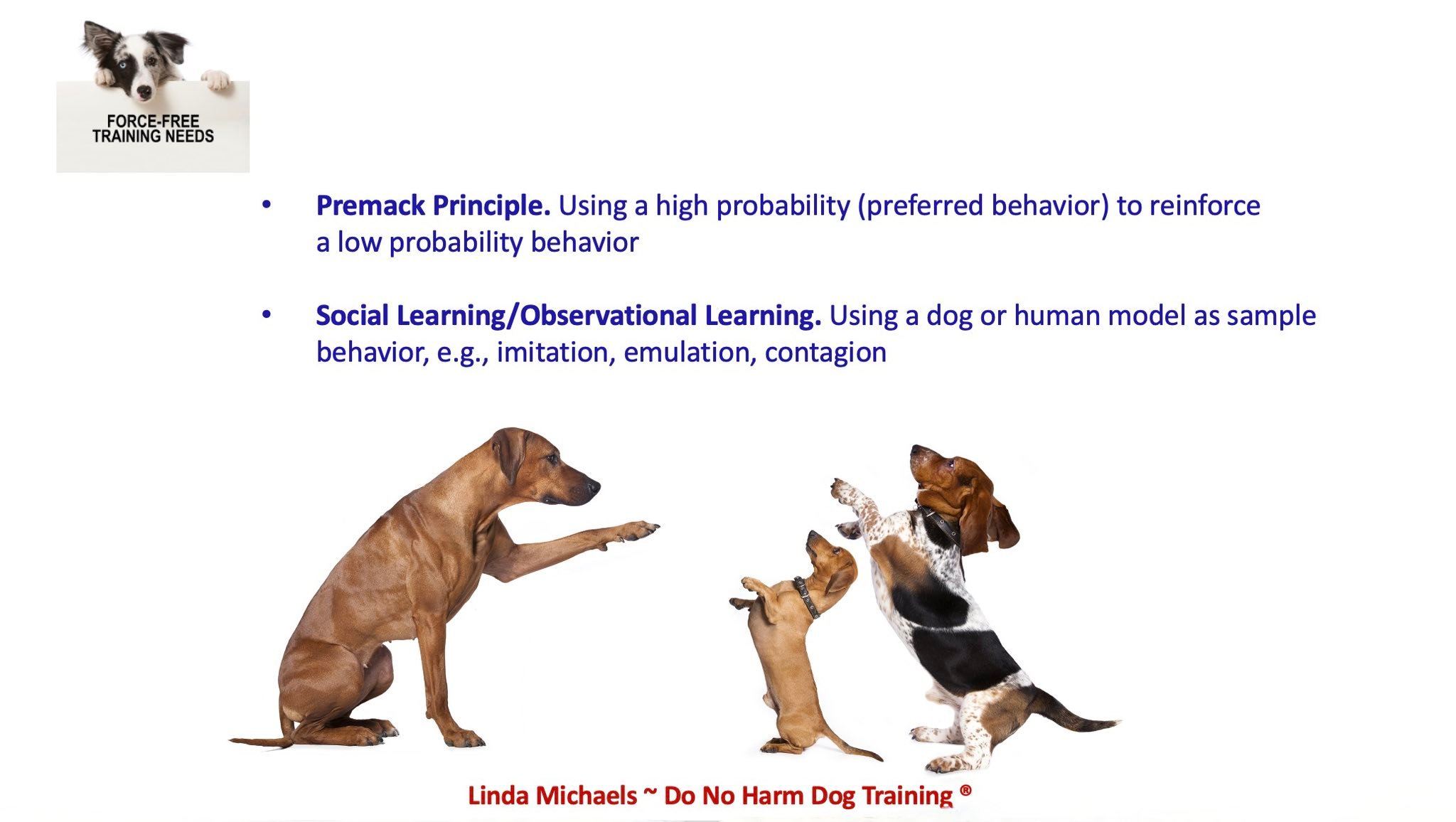 Do - Learn how to use a simple and powerful methods, Illustrated on The ...