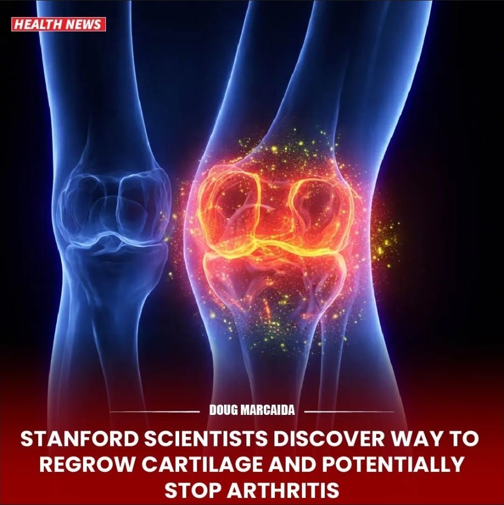 glutathione bad for liver Amazon.com: ReviNutra Liposomal Glutathione Supplement - 2000mg Glutathione  Liquid Drops with Vitamin C, Curcumin & Trans-Resveratrol - Powerful  Antioxidant for Immune, Skin Health & Liver Detox