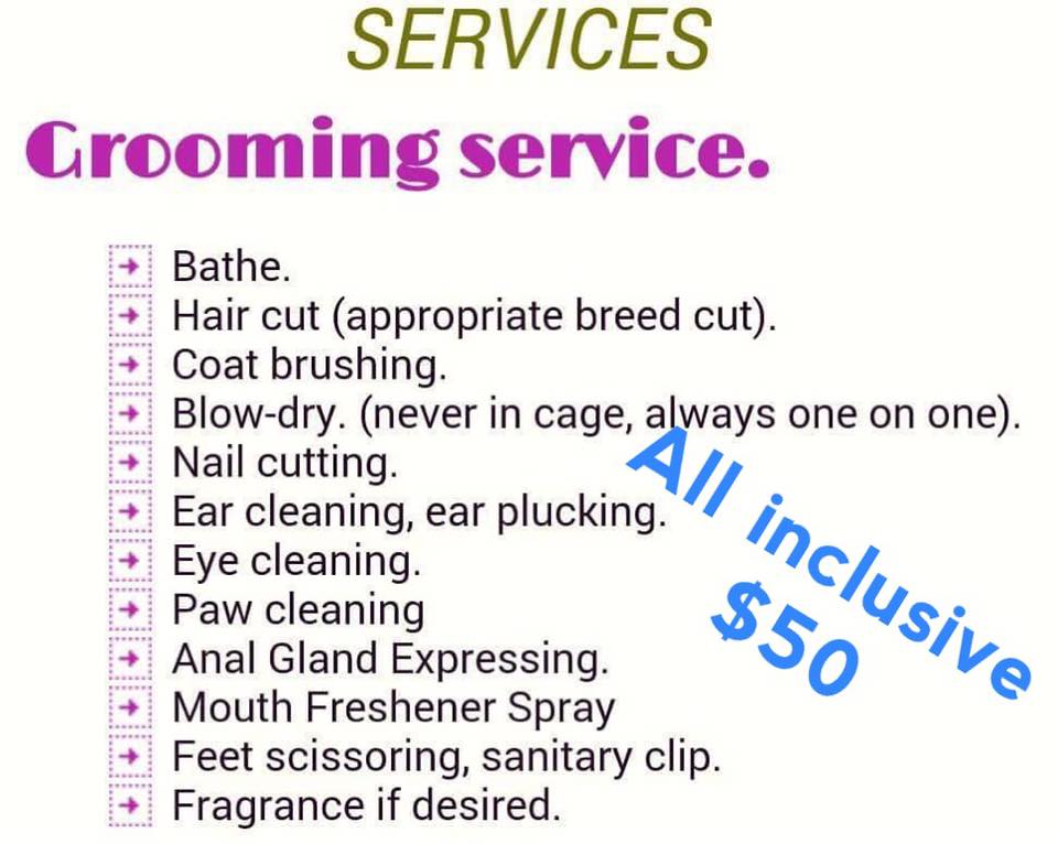 Picture of Promotion of December 🎄 - Pet Grooming V.I.P