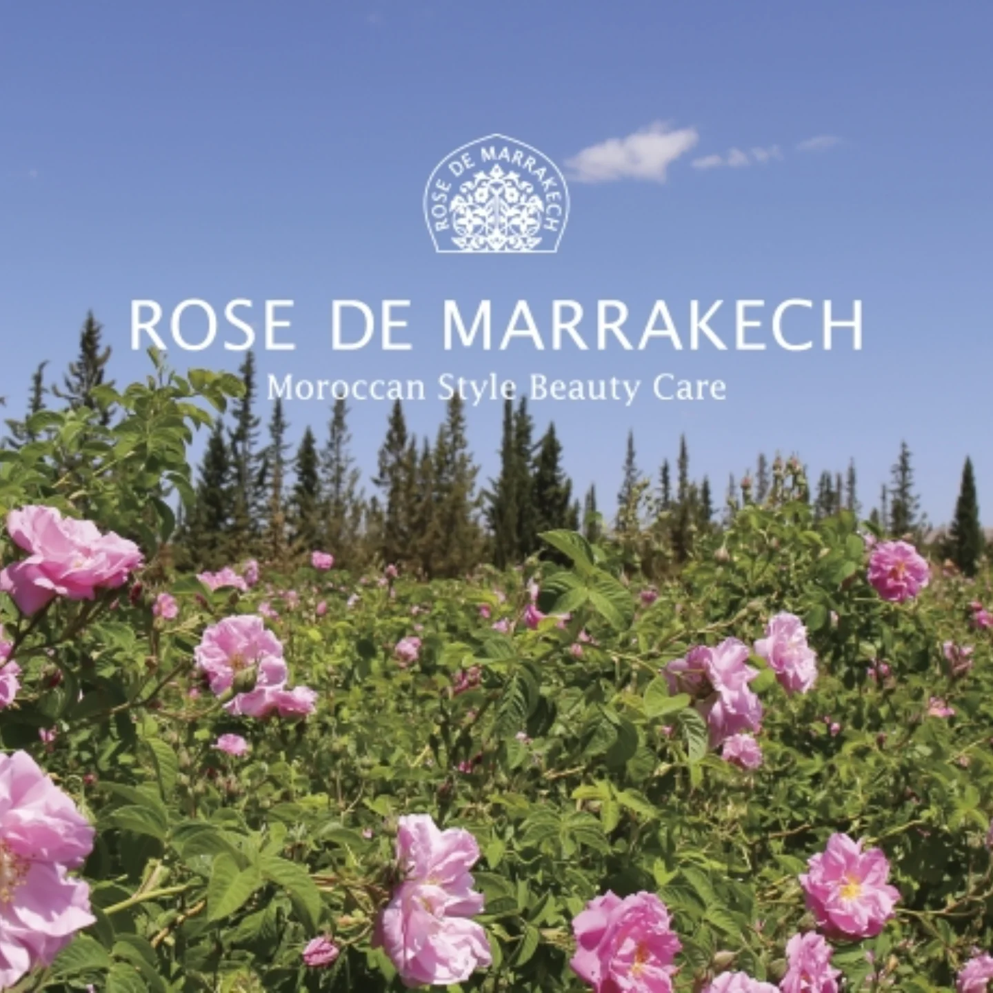 ローズ ド マラケシュ ‐ ROSE DE MARRAKECH (@ROSEDEMARRAKECH 