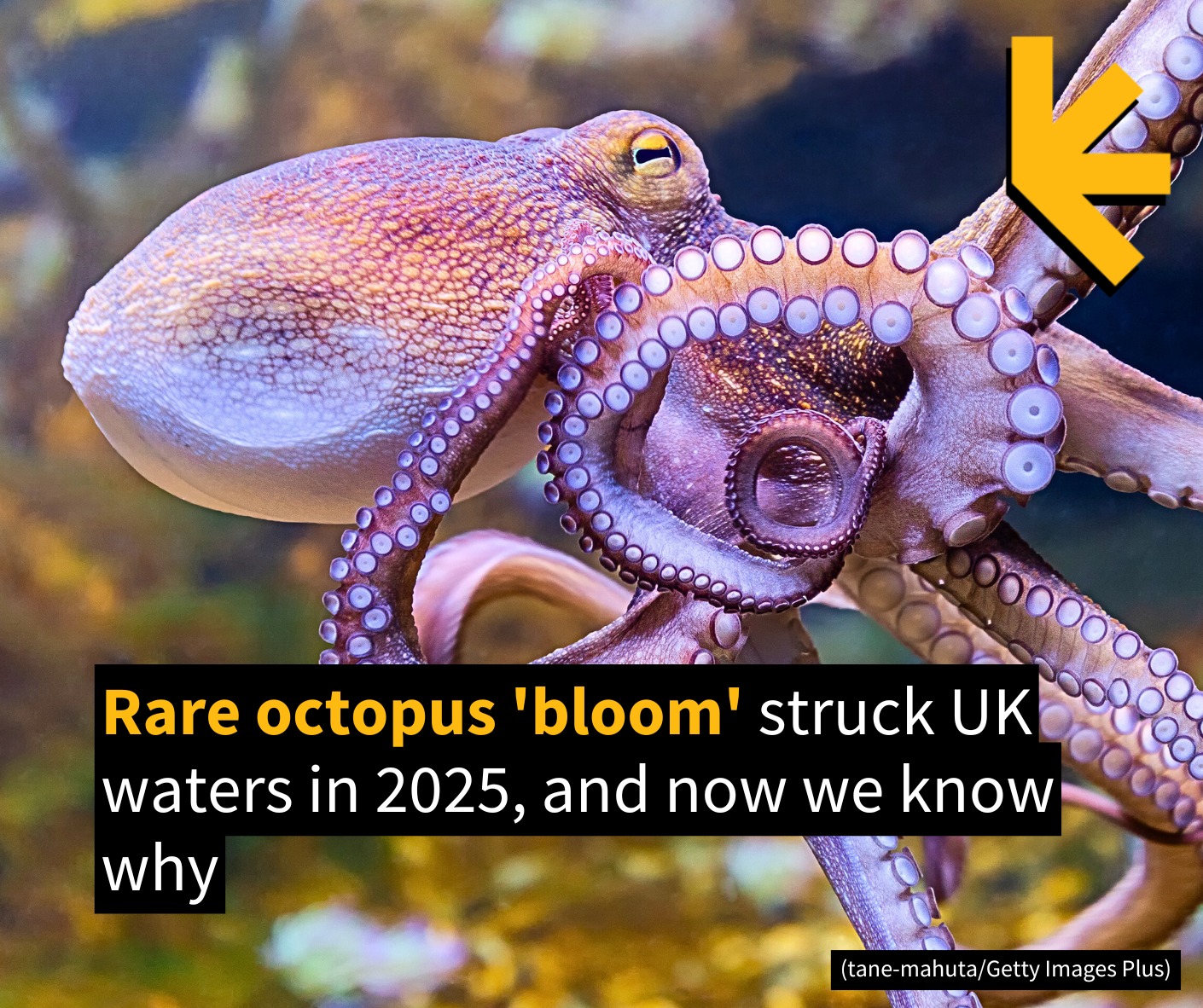 ScienceAlert - Something strange was going on. https://www.sciencealert ...