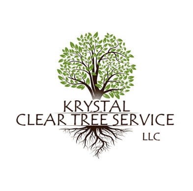 🪓 Another clean, safe removal in the books! 🪓 Check out this massive ...