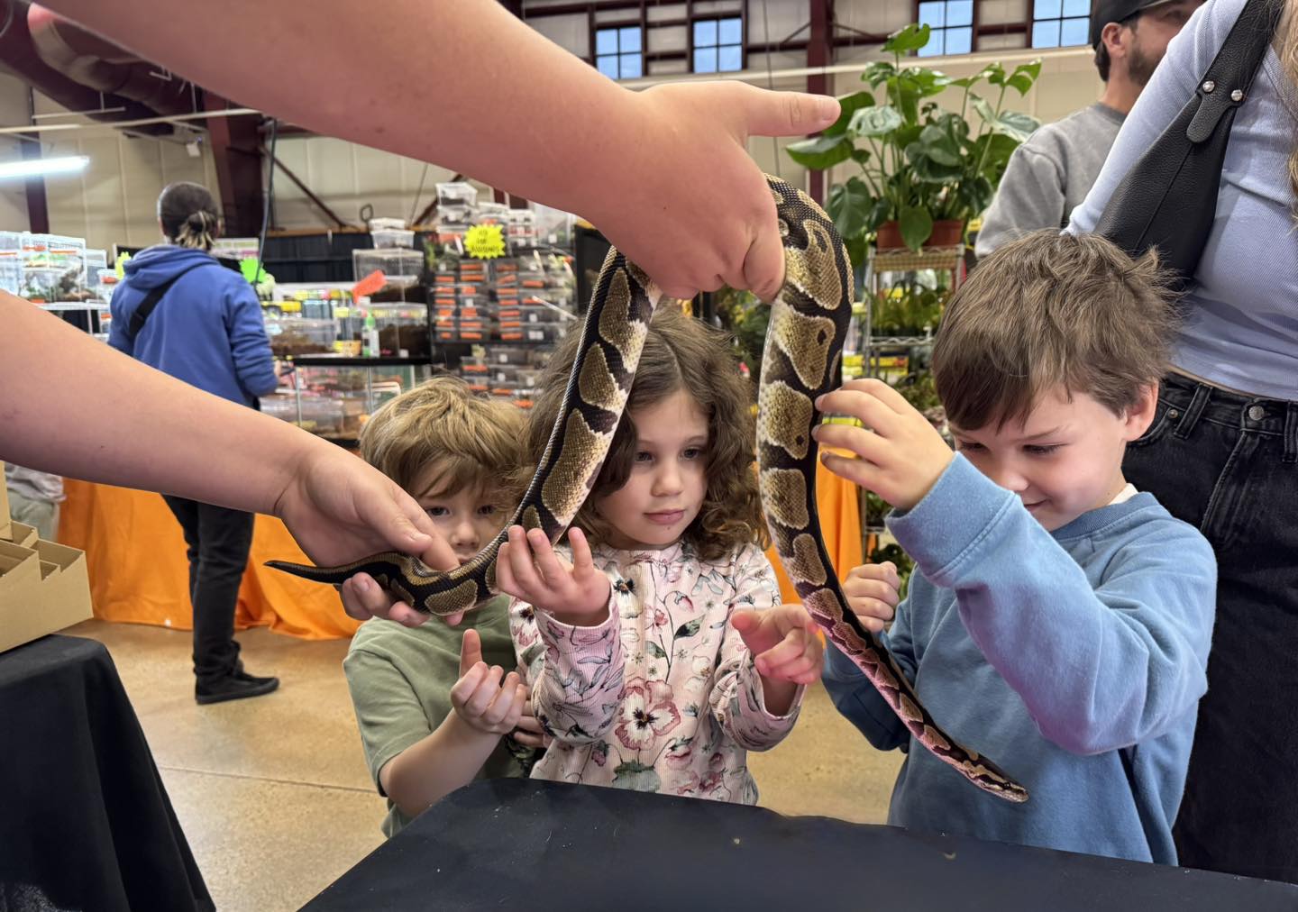 Ball Python Shed | Fort Scott KS