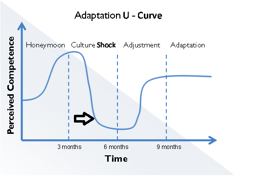 THE U CURVE #MBA... - Operazione - Operations Management Club of DOMS ...