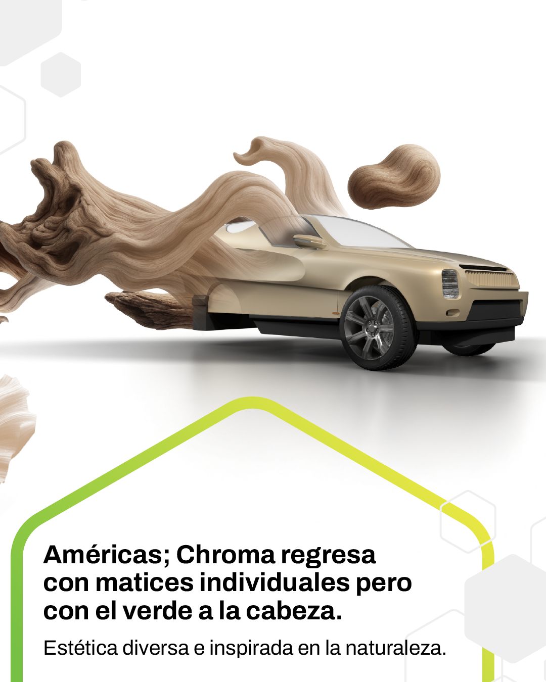 Grupo Proexc