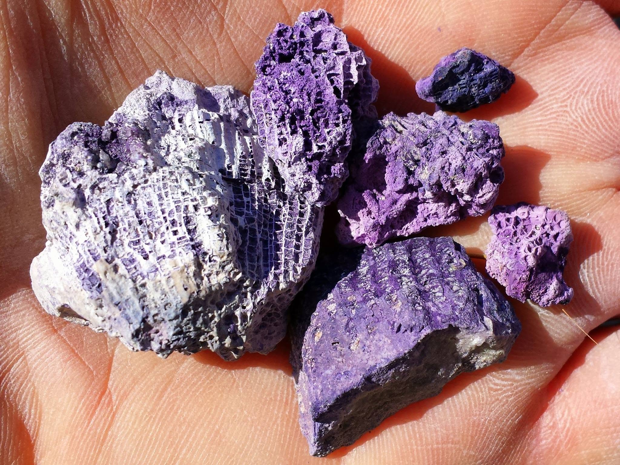 Vibrant purple fluorite, composed of calcium and fluoride, exposed