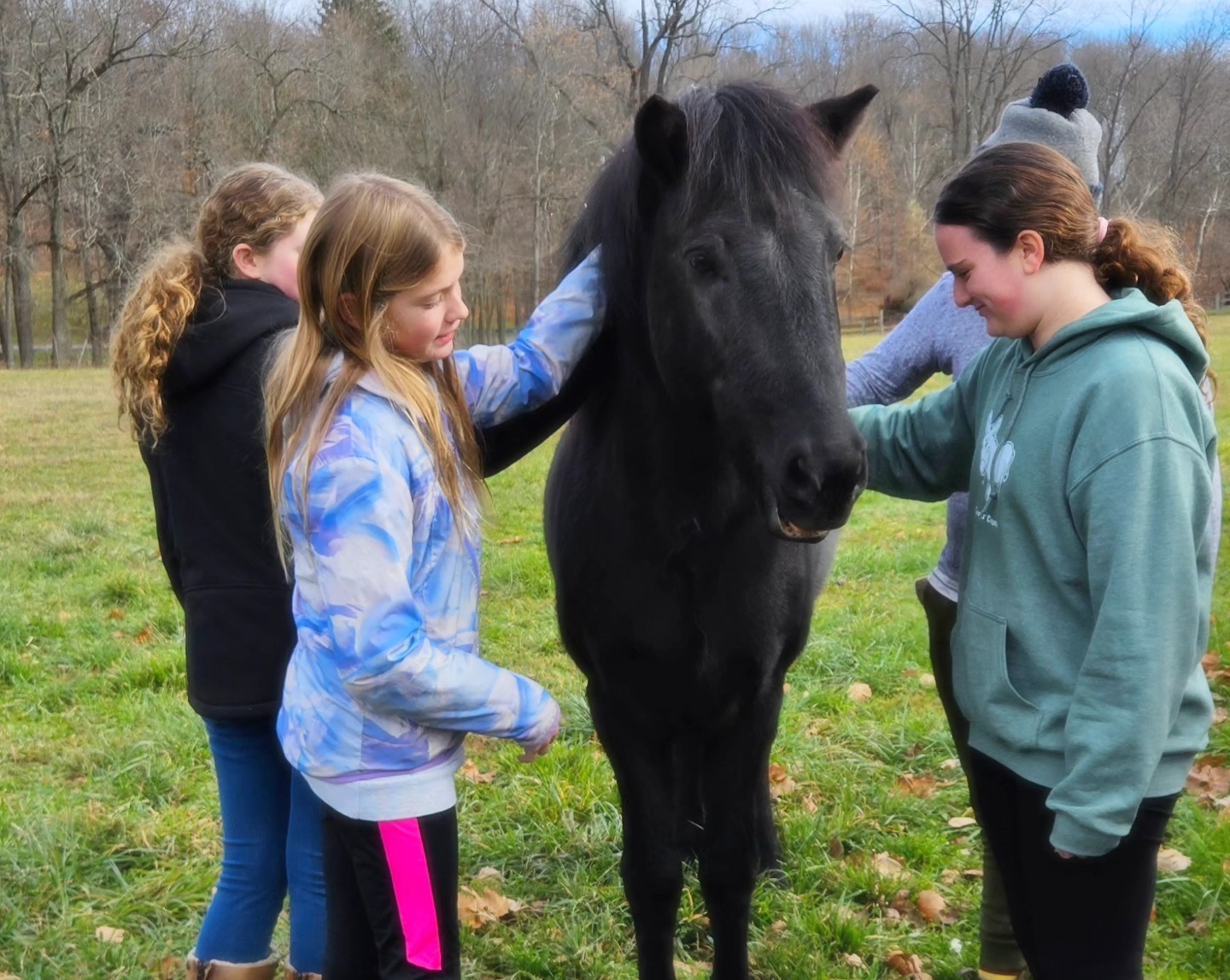 Blue Rider Stables added a new photo... - Blue Rider Stables