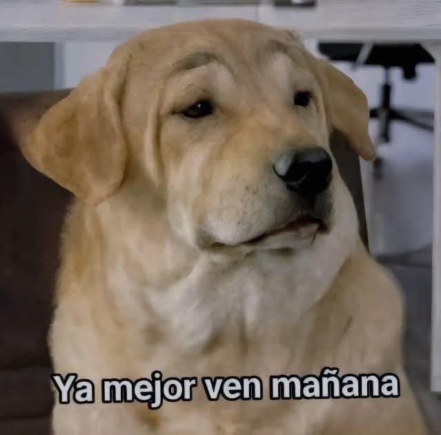 Kien io? - Llego por primera vez temprano al trabajo* Yo... | Facebook