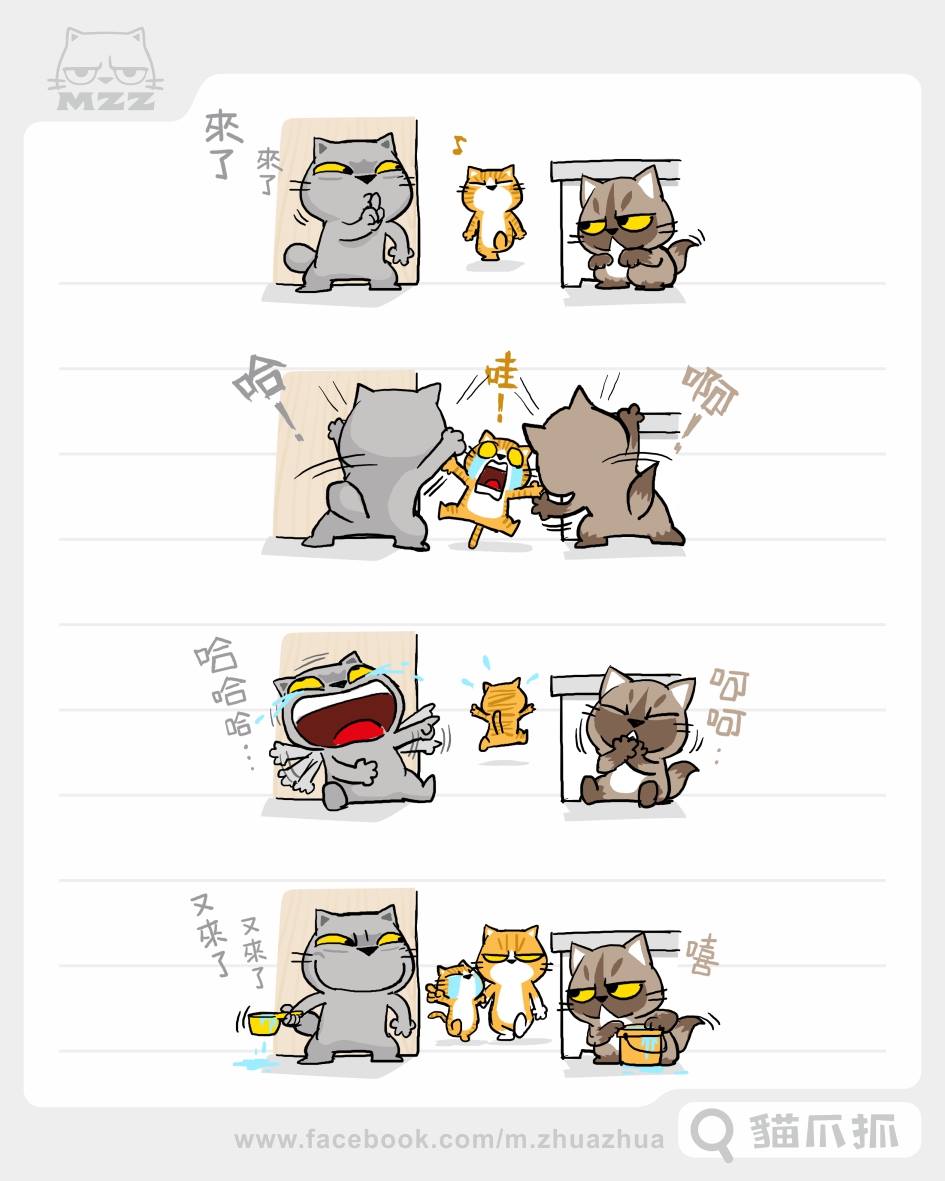 貓爪抓 茶茶 小奶酪 保重了 這下可好了 小表弟暑假特輯 C Meow Zhua Facebook