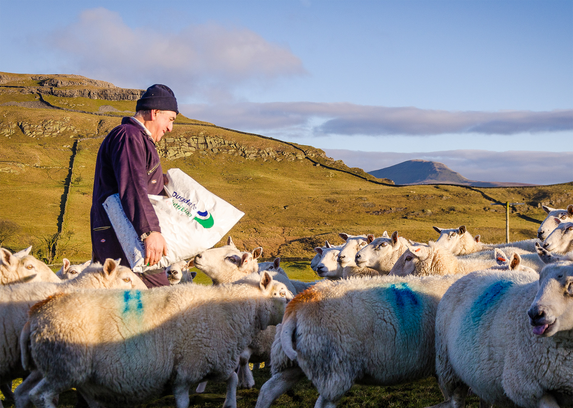 🌾 Committed to British Agriculture 🐄... - Dugdale Nutrition | Facebook