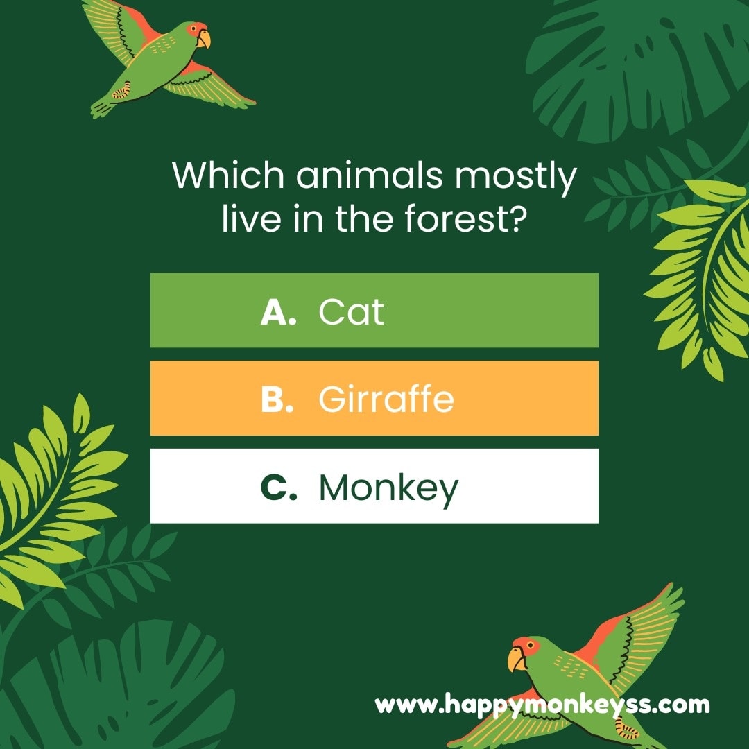 Happy Monkeys - According to you which animal mostly live in the forest ...