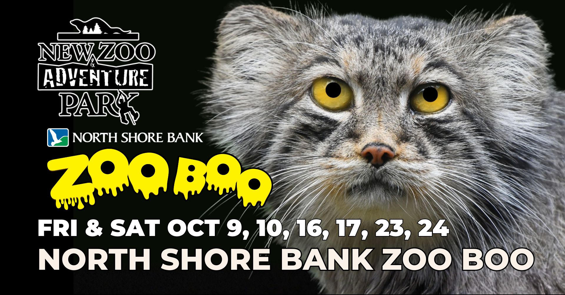North Shore Bank Zoo Boo