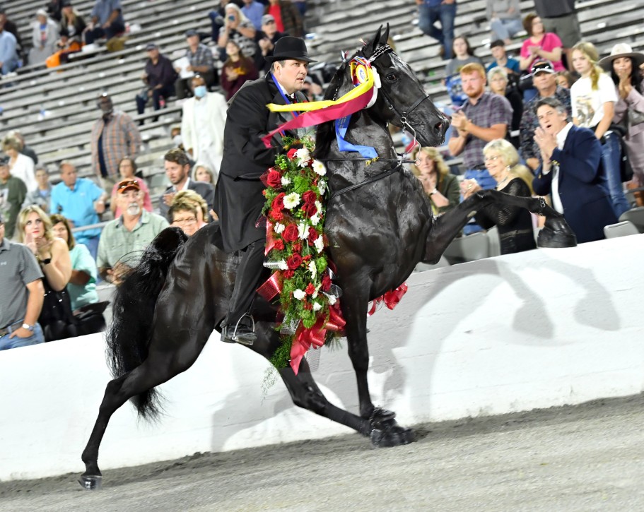 Racking Horse Breeders Association of America | Decatur AL