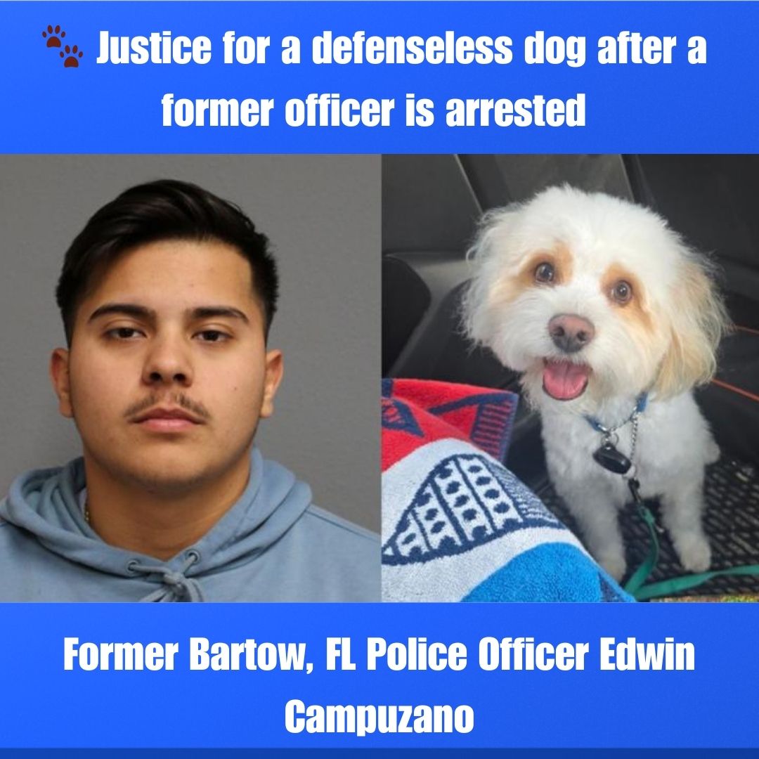 Paul Mueller - 🐾 Justice for a defenseless dog after a... | Facebook