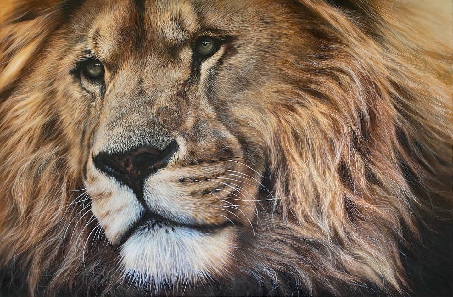 Julie Rhodes - wildlife pencil drawings