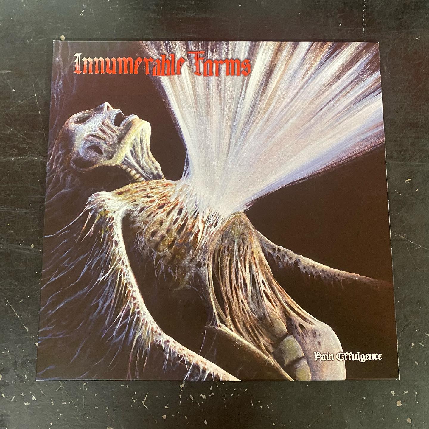 INK WARUNTORN : bloom.EP CD & LP available now (11/9)