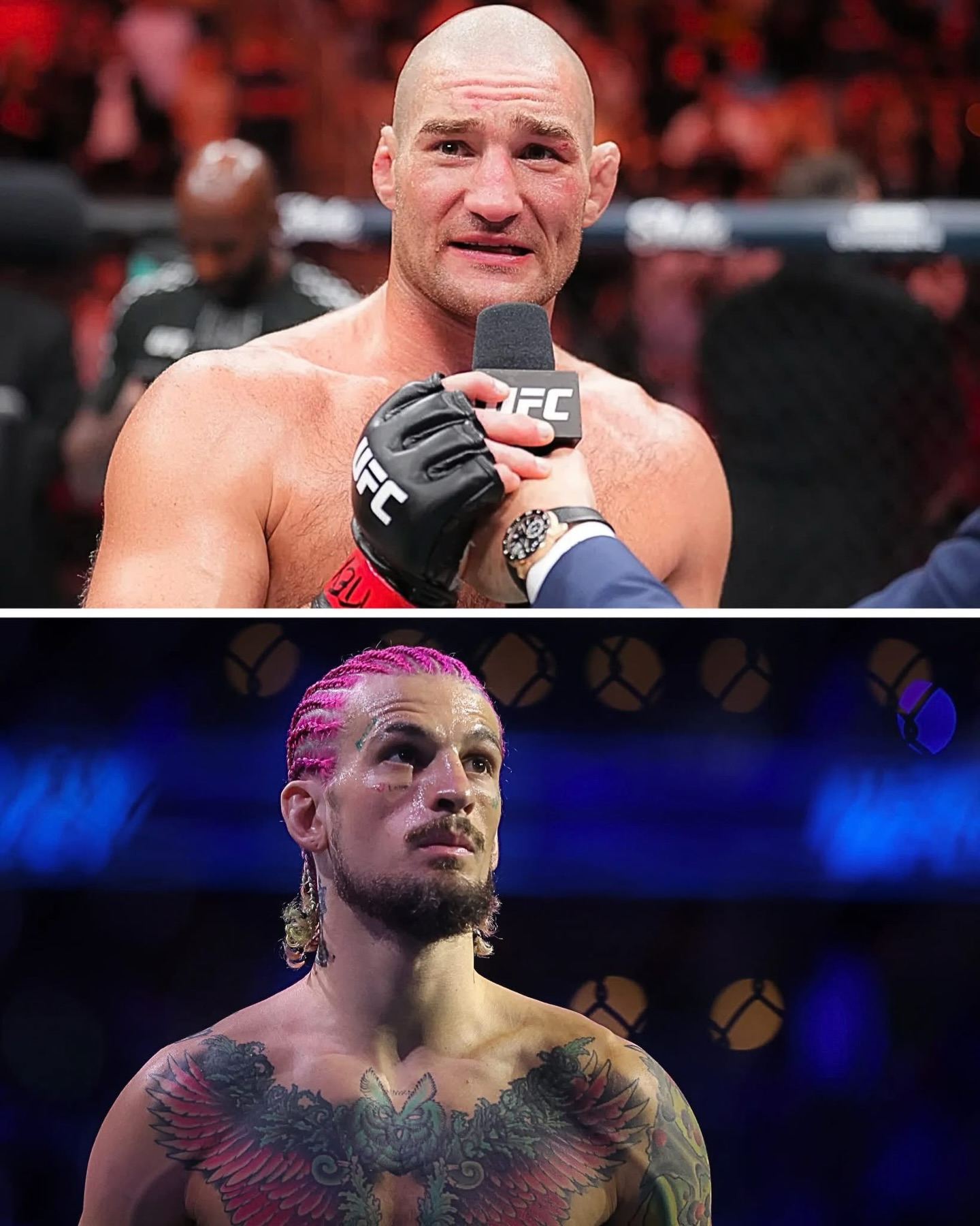 Sean O’Malley Gives $7.7B Reason... - MMA Uncensored PLUS | Facebook