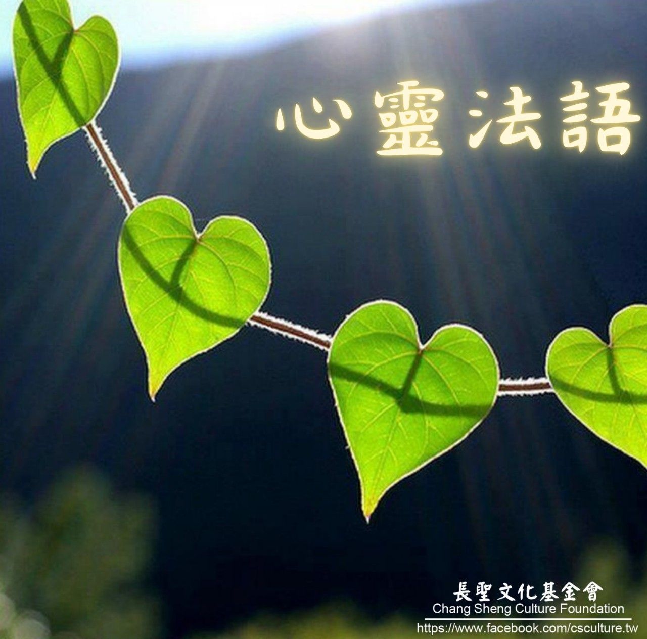 長聖文化 - 我年輕時所做的事，十之八九是失敗的，但我不甘於失敗，便十倍努力。----------蕭伯納 | Facebook
