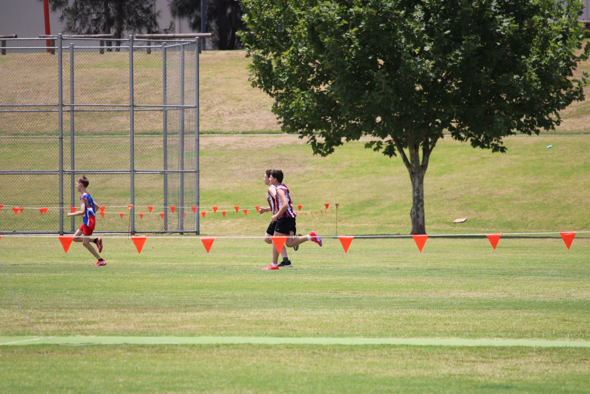Singleton Track and Field | Singleton NSW