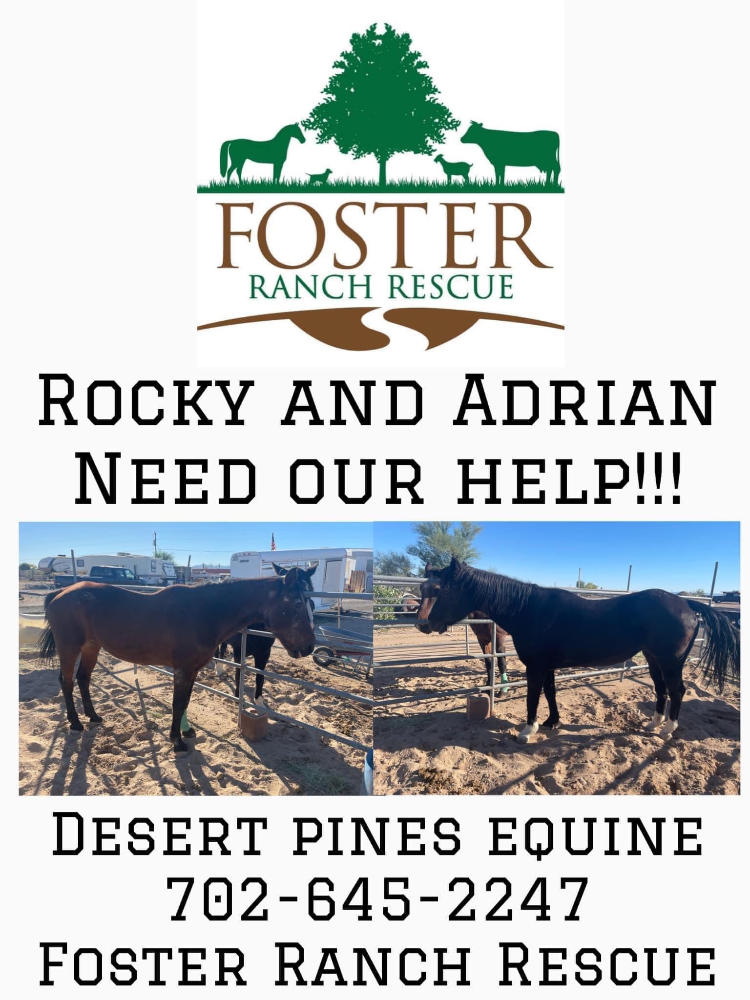 Do you... - Foster Ranch Rescue 501-c3 Nonprofit Organization