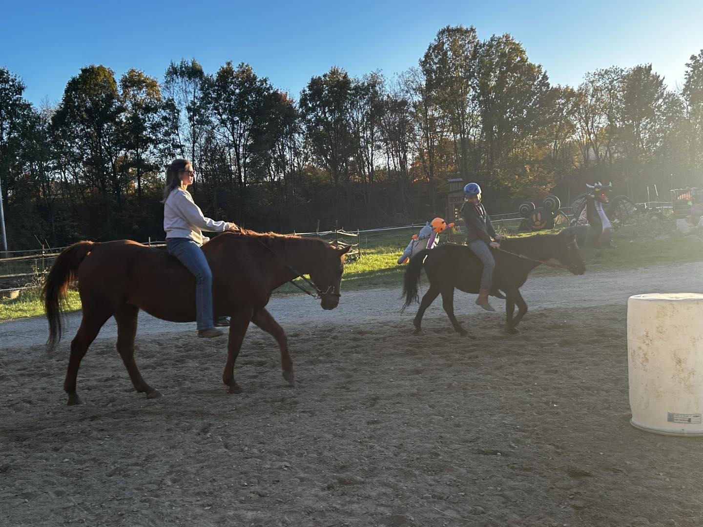 AB Ranch | Rootstown OH