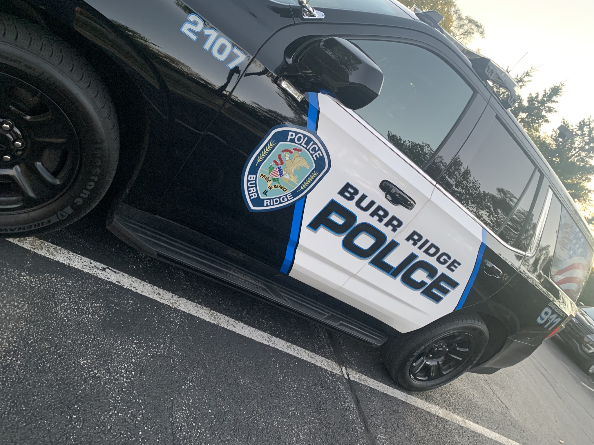 Burr - In Burr Ridge, 16 vehicles – 14 of them pickups – were broken ...