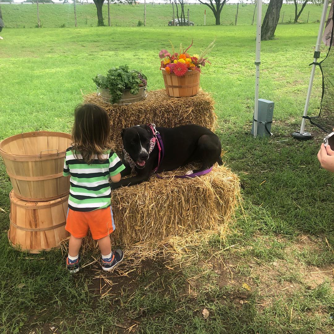 Corona Violeta Ranch | Florence TX