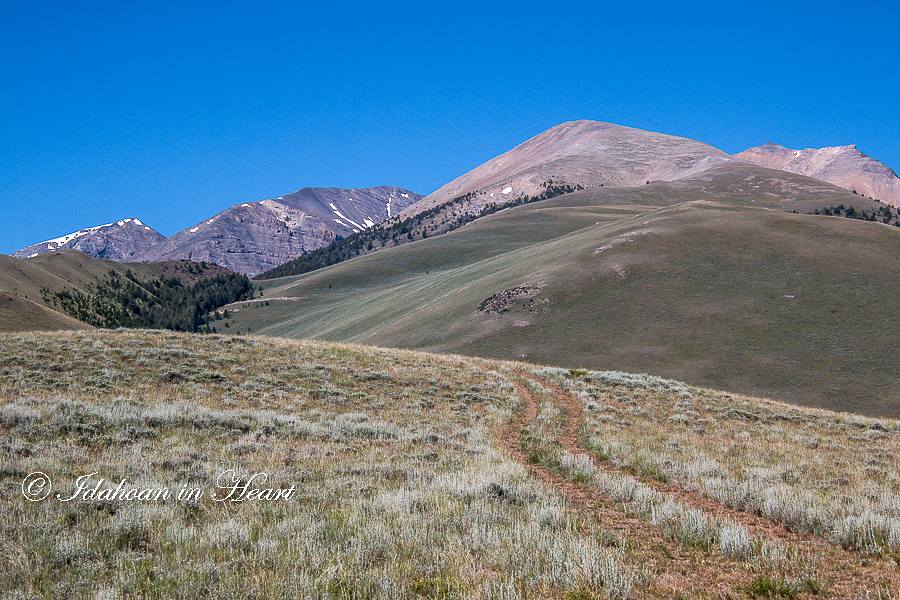 Pahsimeroi Valley - An amazing place!... - Idahoan in Heart | Facebook