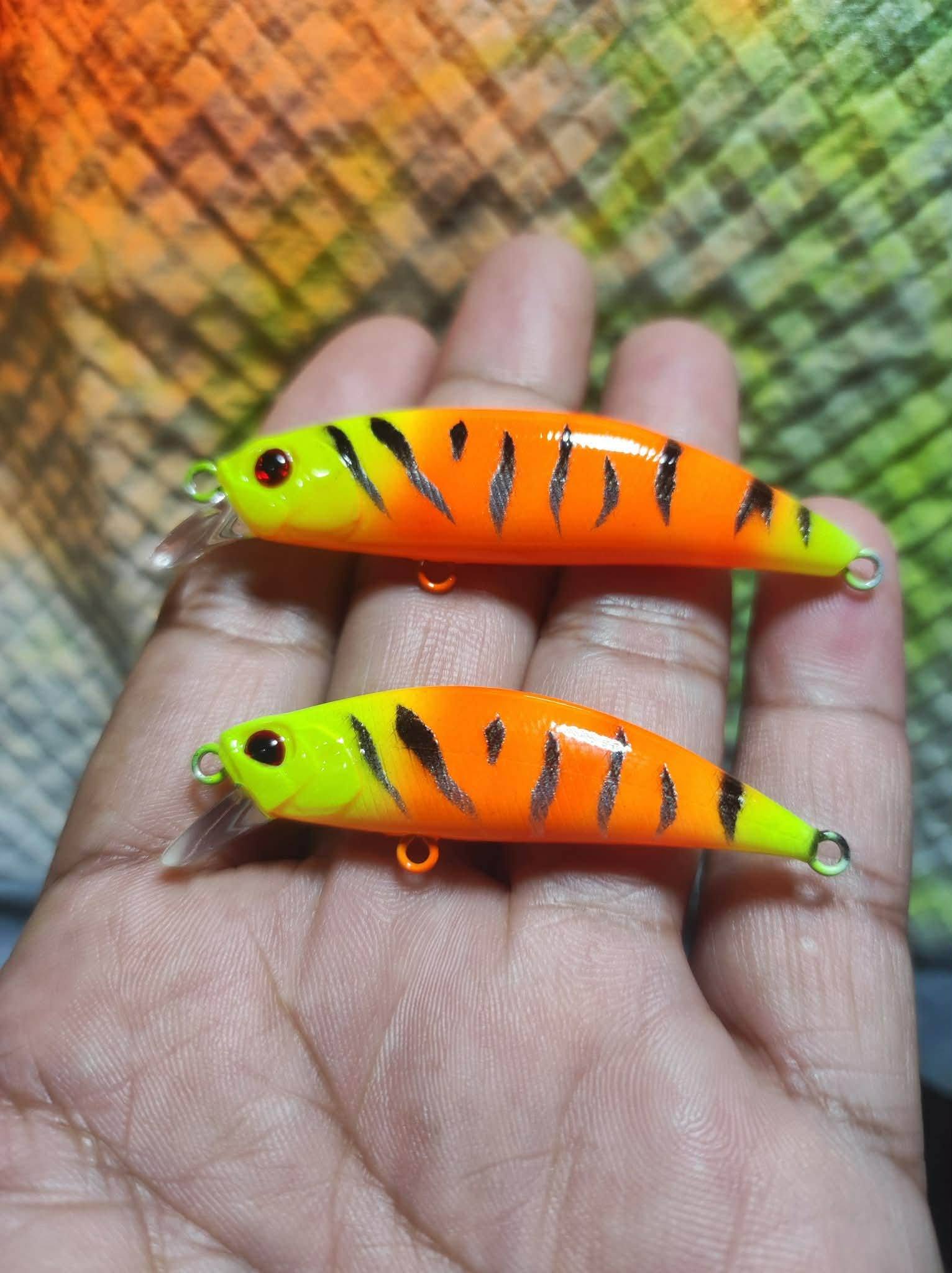 duplicate a soft plastic fishing lure Dr.Fish 2 pcs Large Paddle Tail Lures 6.1