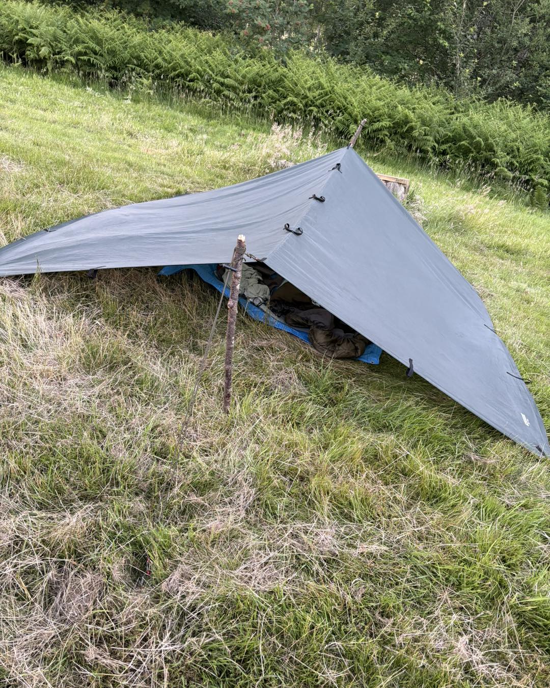 aci 3 tent MSR Elixir pavillo 2 person tent featured rainfly adds large Couple Camping Stuck Tent Size:3 Person (7' x 7' x 52'')