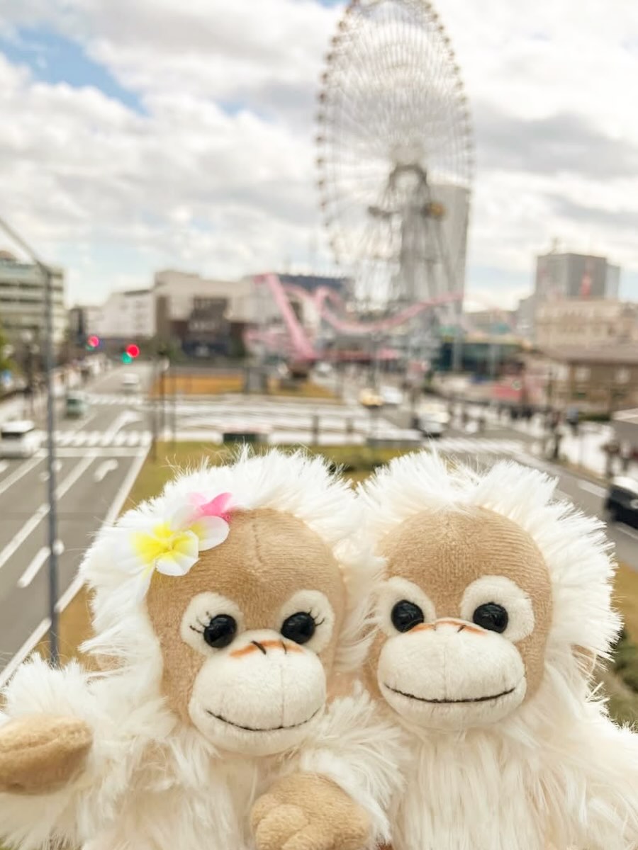 ベイビーココ＆ナツ / Baby Coco & Natsu (@Babycoconatsu) • Facebook
