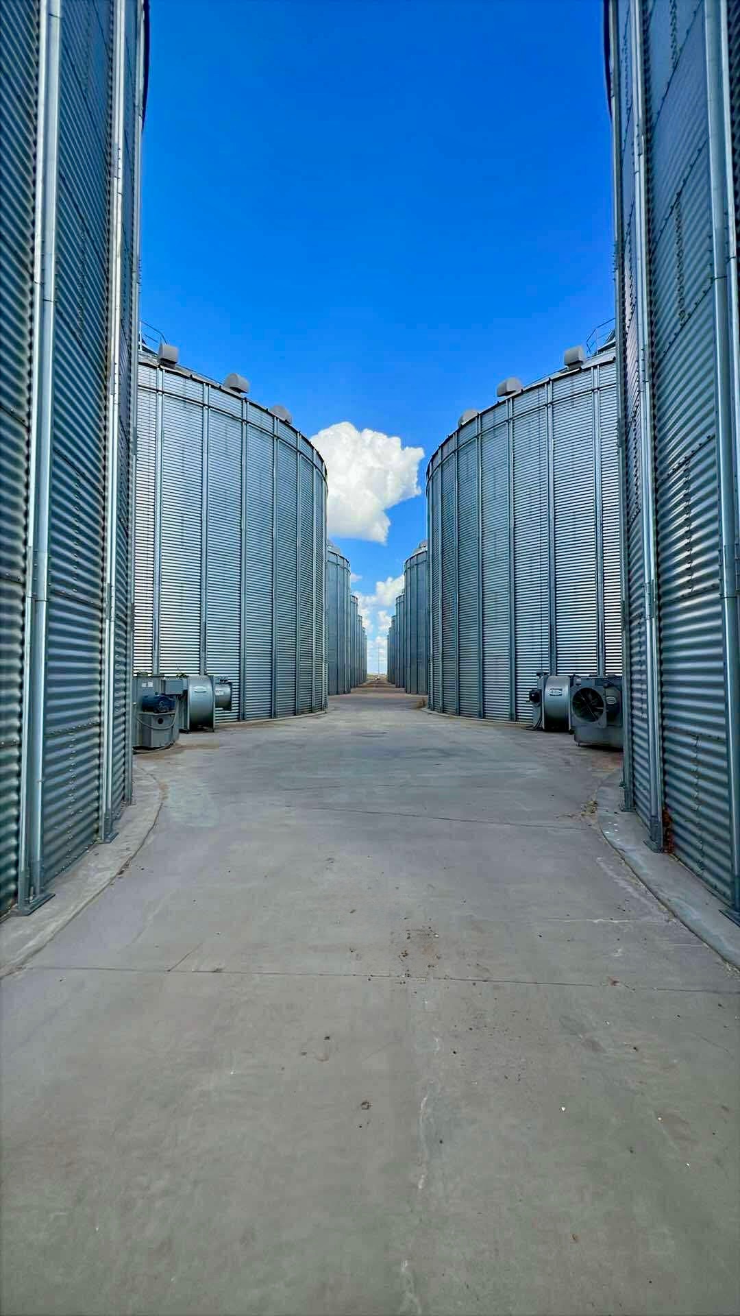 Twin bin rows standing tall at... - Valley View Agri-Systems | Facebook
