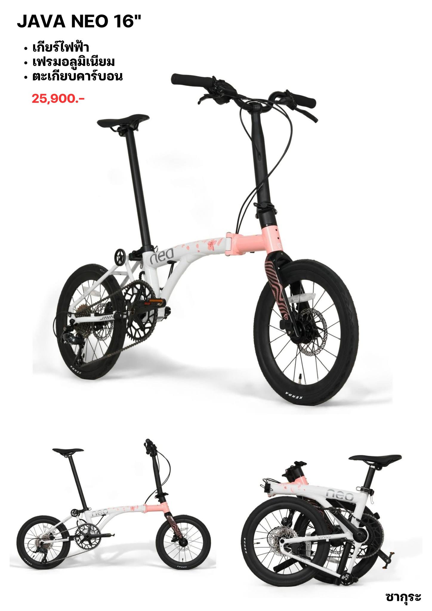 hollo มีใครรอน้อง Sakura... - Java Bike Shop Rama2 | Facebook