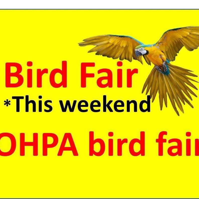 It’s TOMORROW!! OHPA Bird... - OHPA - Ohio and PA bird fairs | Facebook