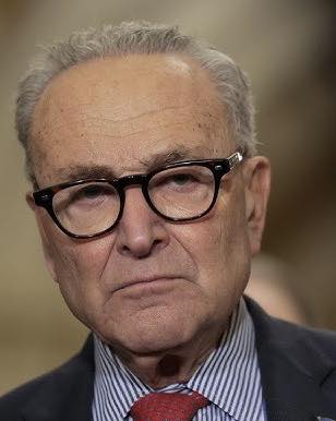 David - Chuck Schumer suggests copying Australia’s policies on gun ...