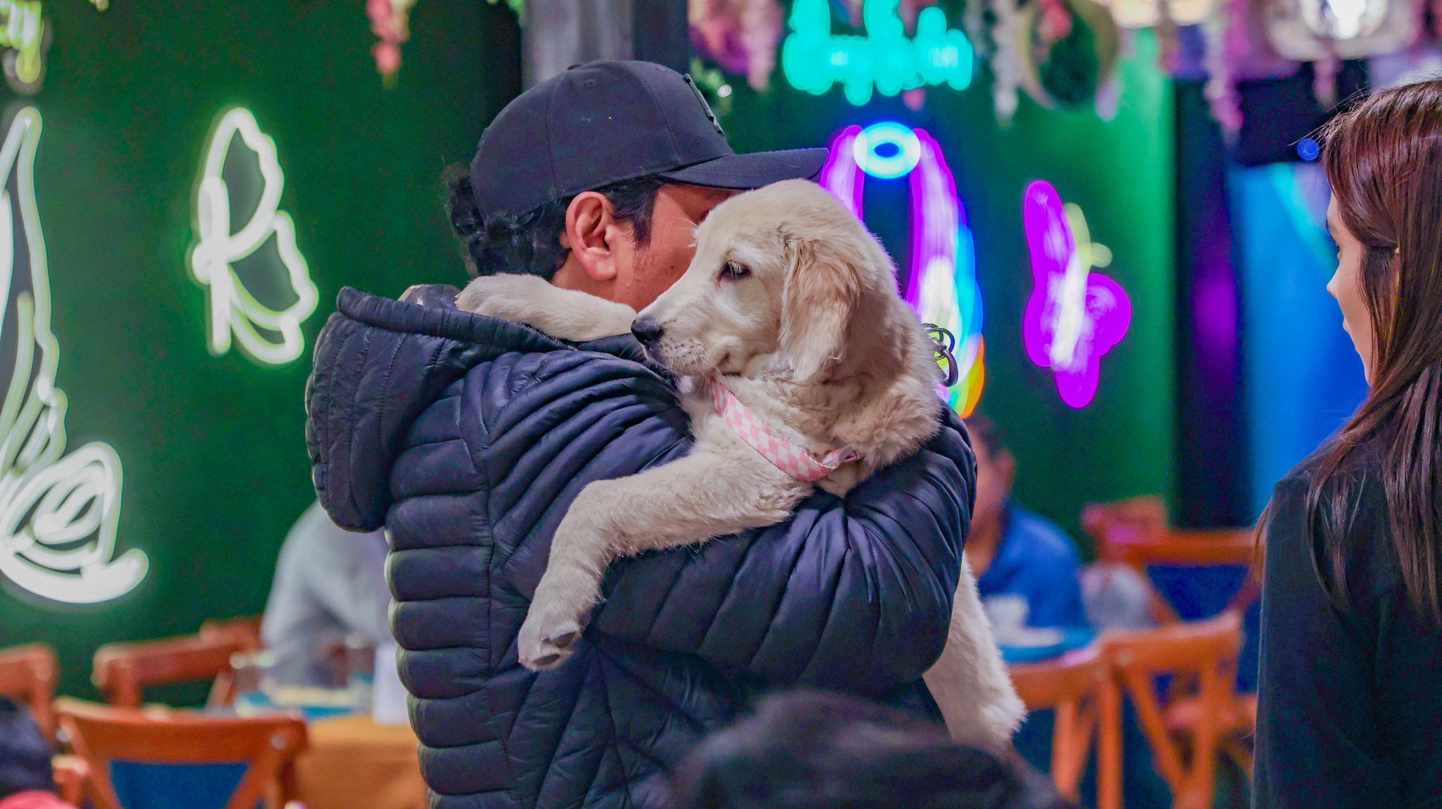 BOOZE Garden - 🌟💯¡𝐐𝐮𝐞́ 𝐠𝐫𝐚𝐧 𝐧𝐨𝐜𝐡𝐞 𝐞𝐧 𝐁𝐨𝐨𝐳𝐞 𝐆𝐚𝐫𝐝𝐞𝐧 𝐆𝐫𝐚𝐜𝐢𝐚𝐬... | Facebook