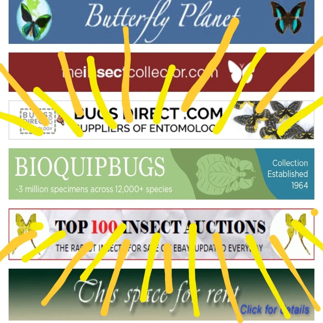 BioQuipBugs - Here is a little sneak peak into the... | Facebook