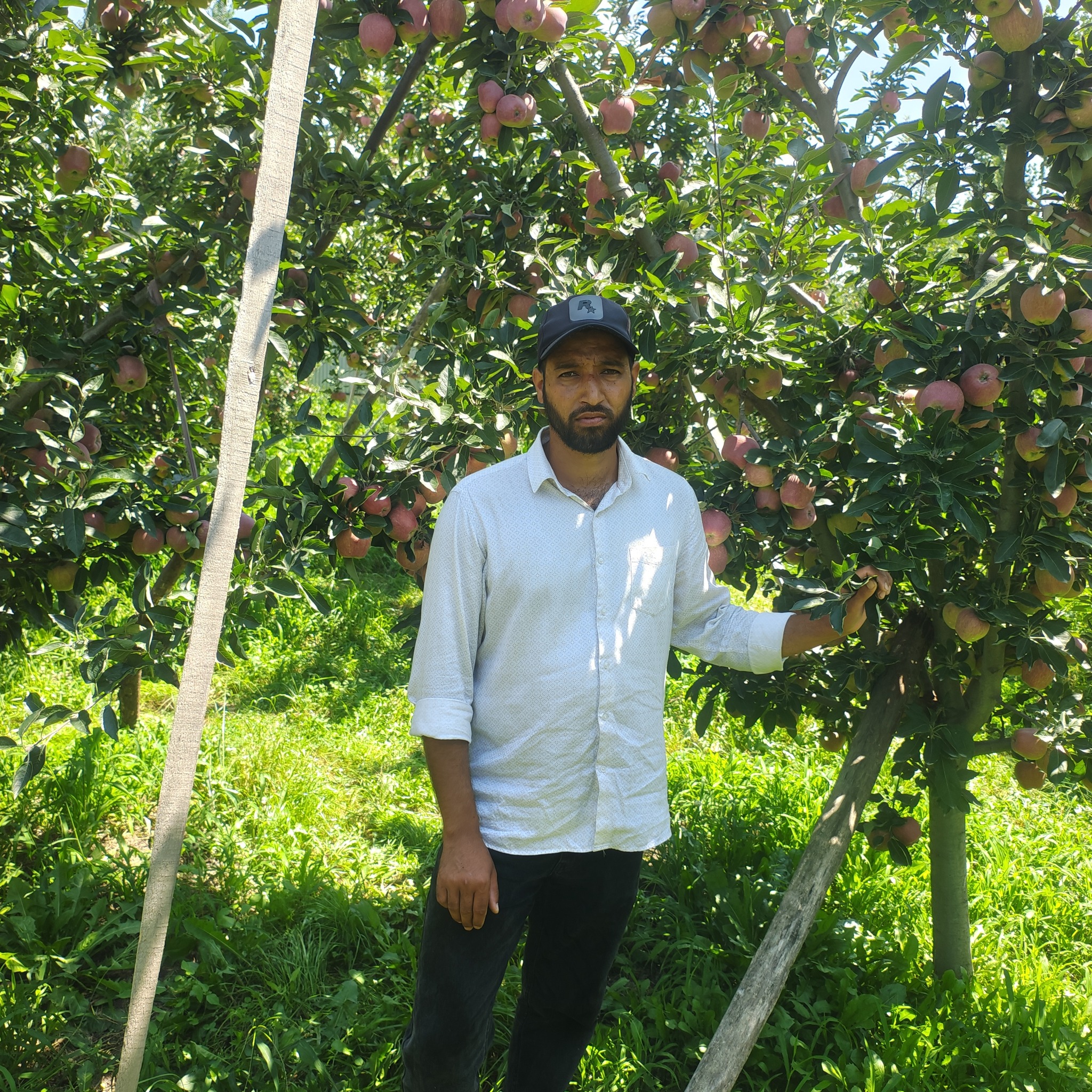 T A WAZA | Root To Fruit