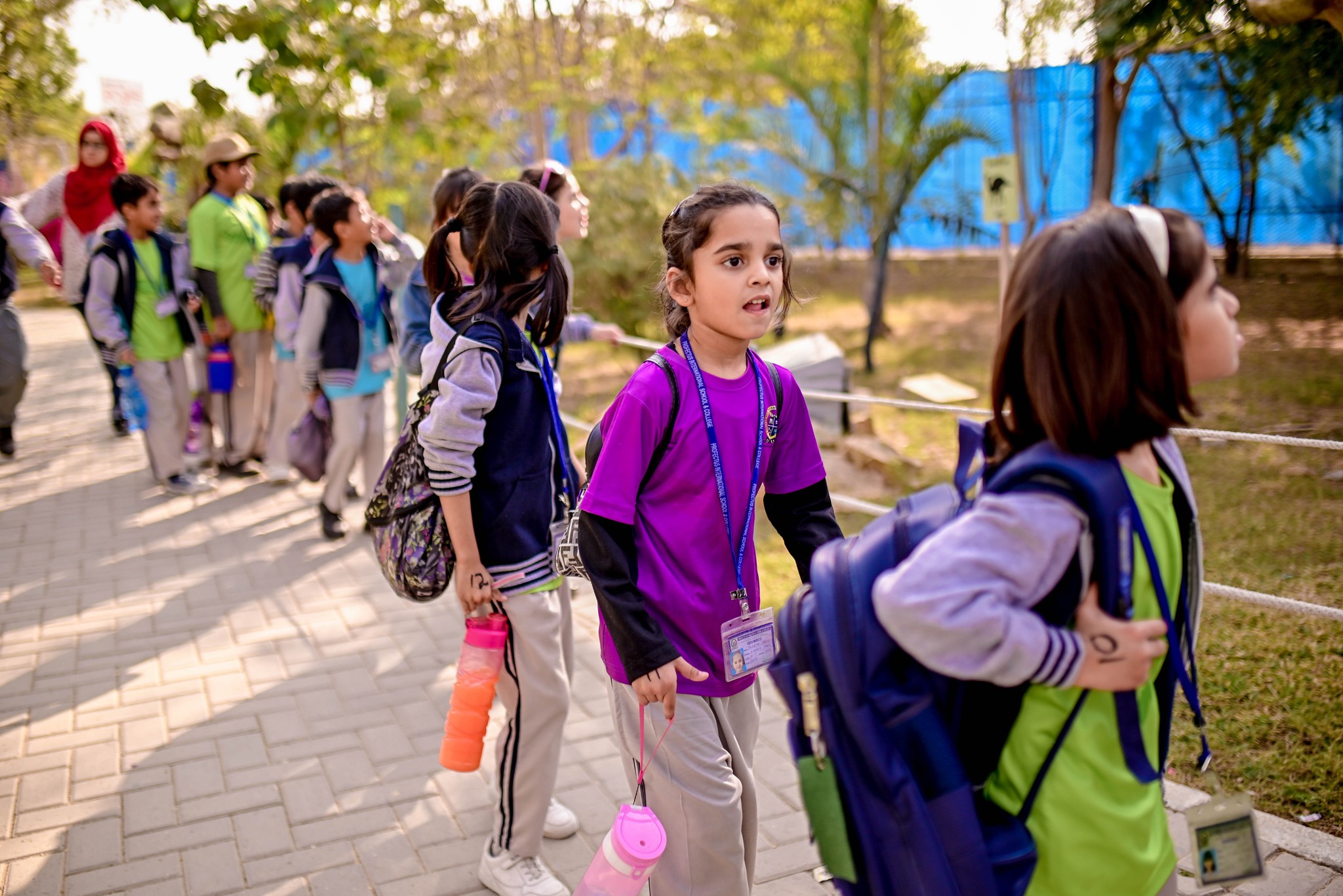 Profectus International... - Profectus International School