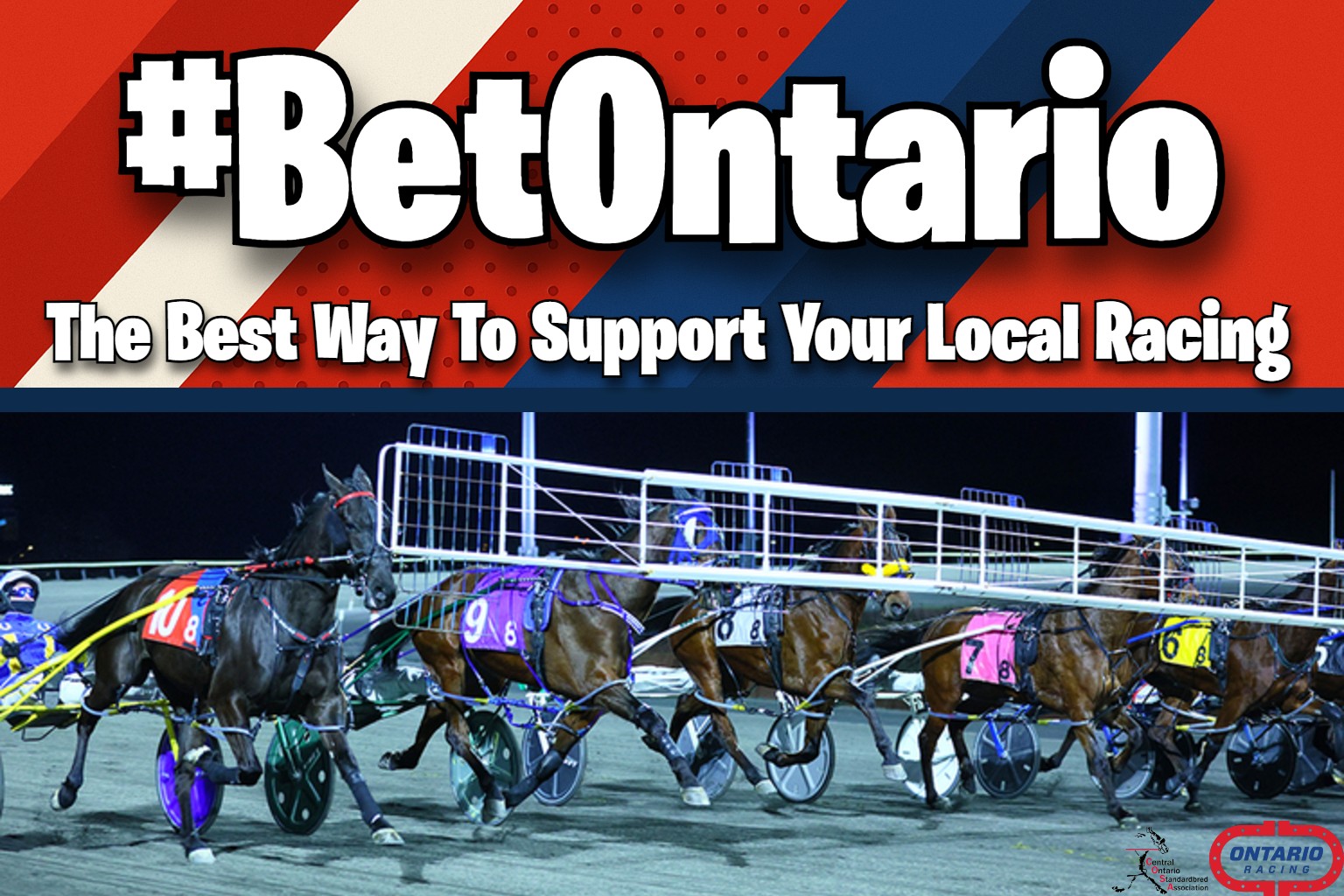 💙🐴 Why... - Central Ontario Standardbred Association - COSA | Facebook