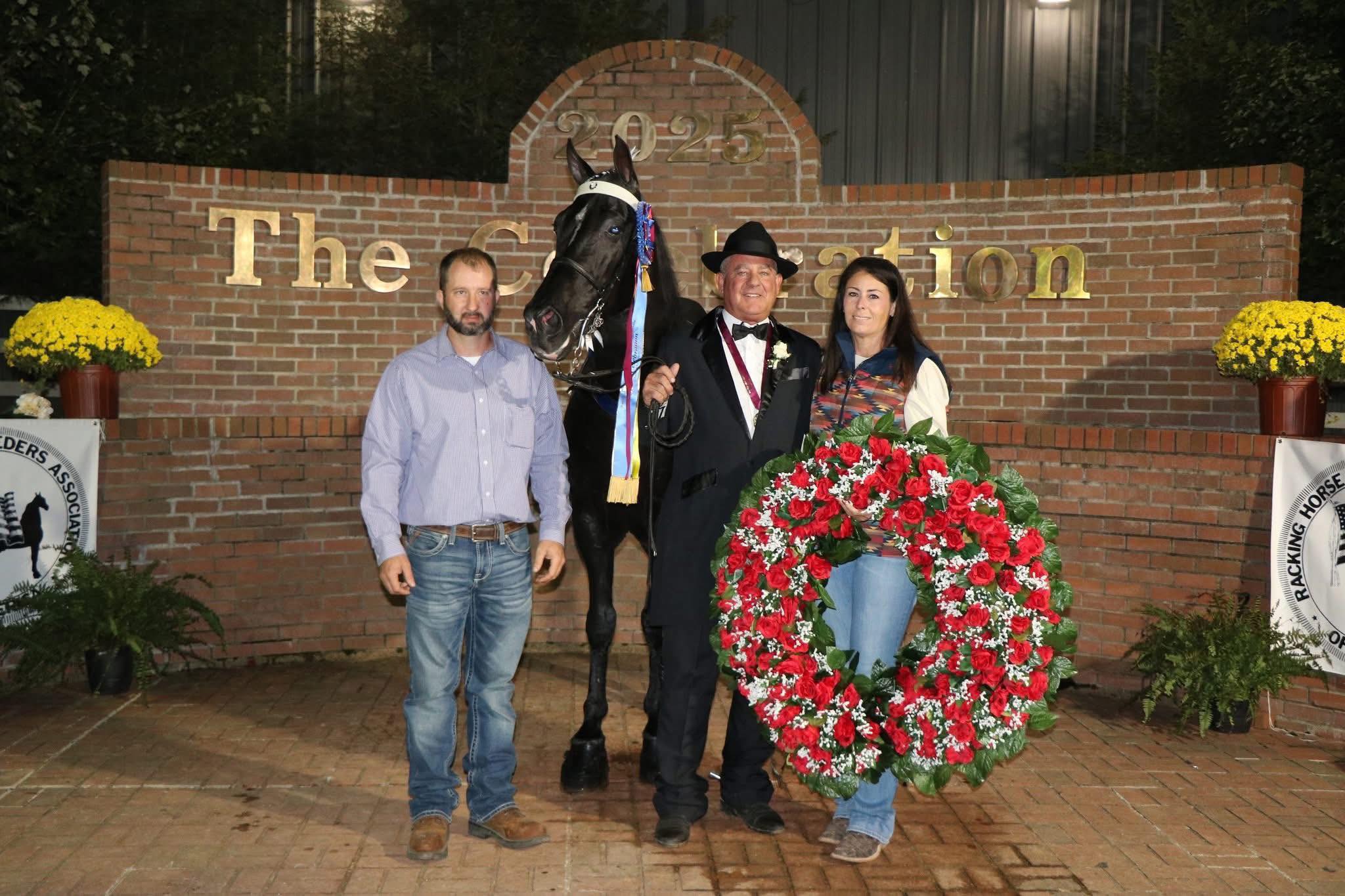 Racking... - Racking Horse Breeders Association of America