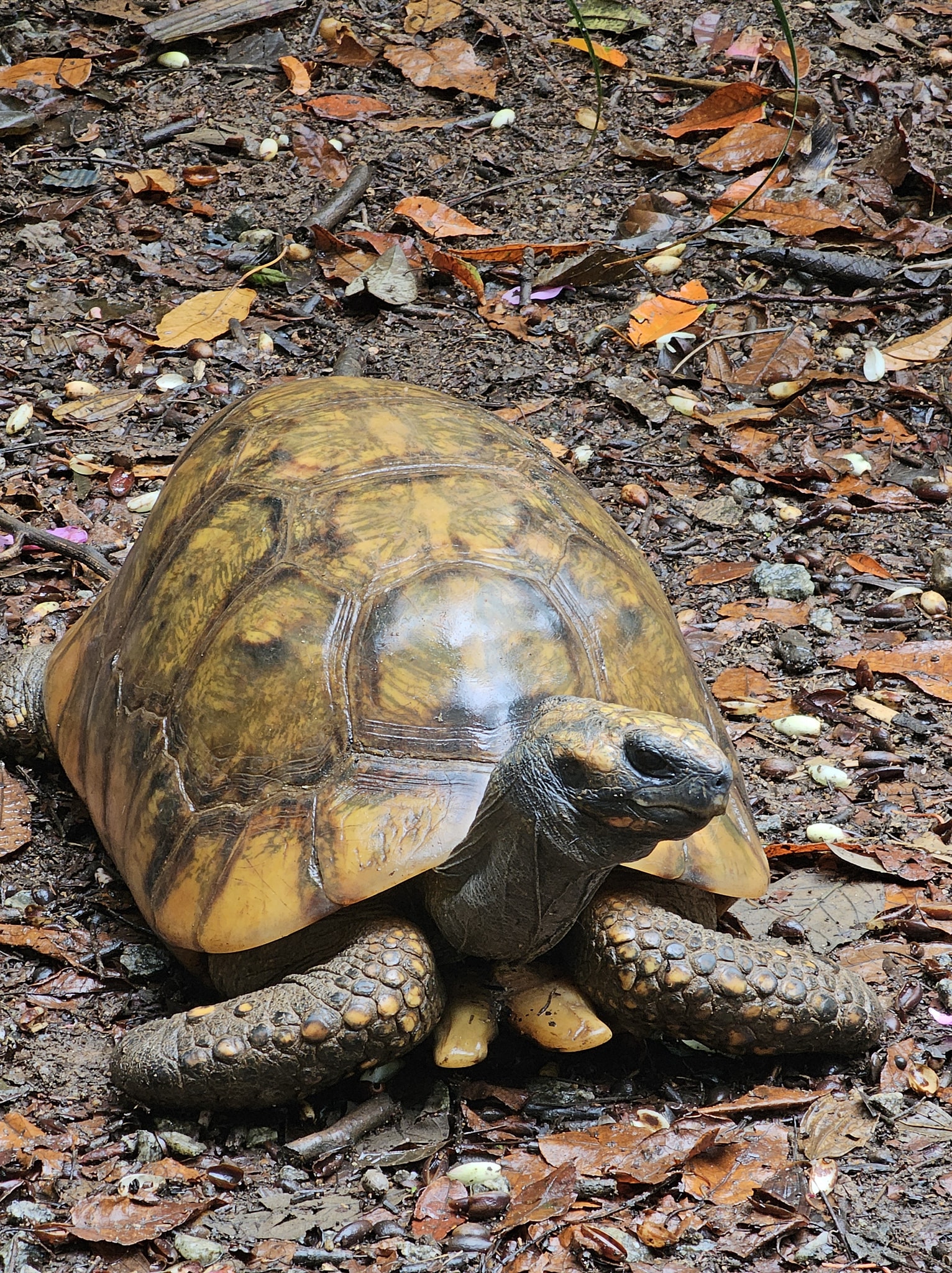 Biólogo Sérgio Rangel