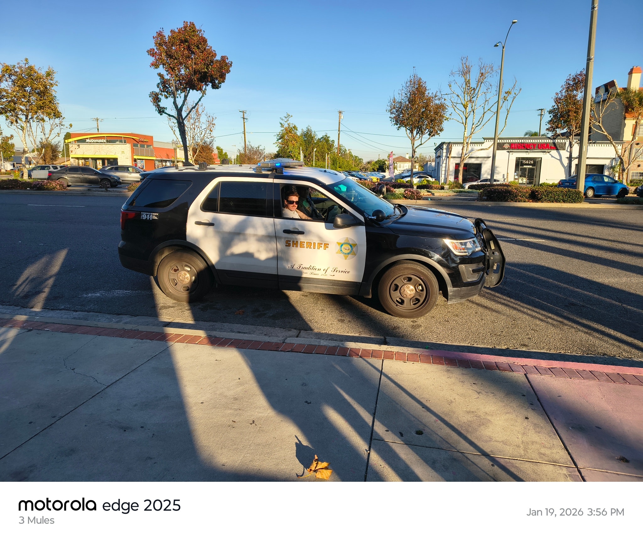 3 Mules - Los Angeles County Sheriff's Department has stopped me and ...